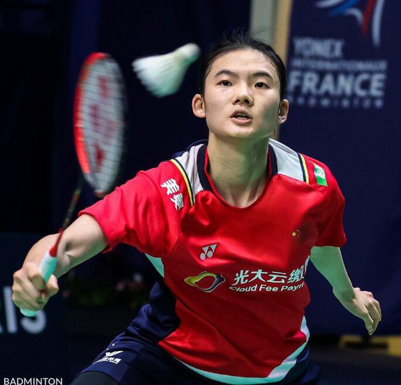 的履历与特 的履历与特